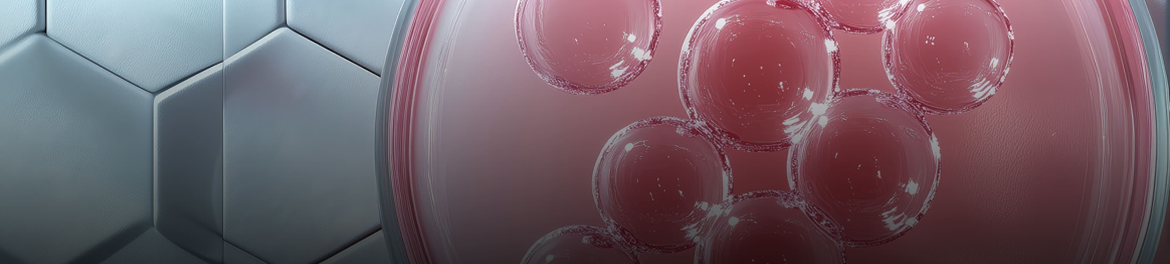 Alt Intro Image